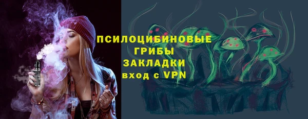 хмурый Богородицк
