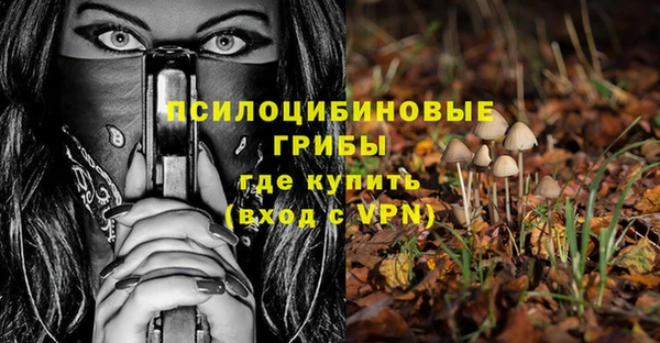 хмурый Богородицк