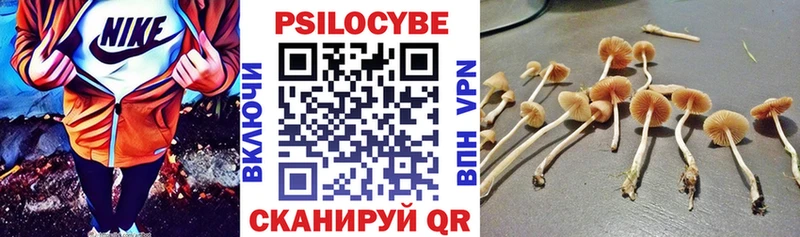 Галлюциногенные грибы Psilocybine cubensis где найти наркотики Симферополь
